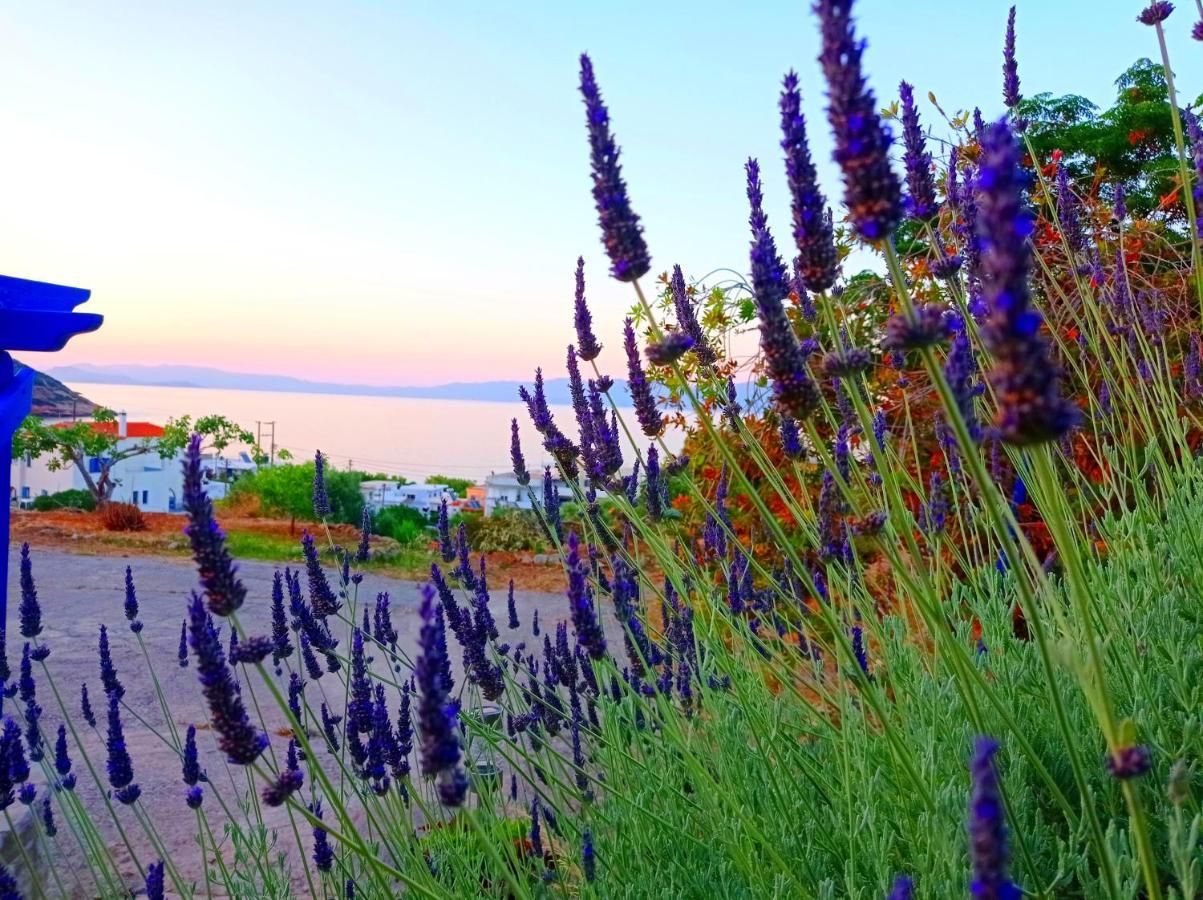 Evangelia House Sea View Apartments Agia Pelagia  Luaran gambar