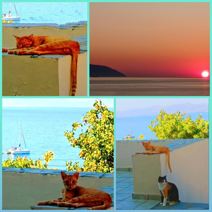 Evangelia House Sea View Apartments Agia Pelagia  Luaran gambar